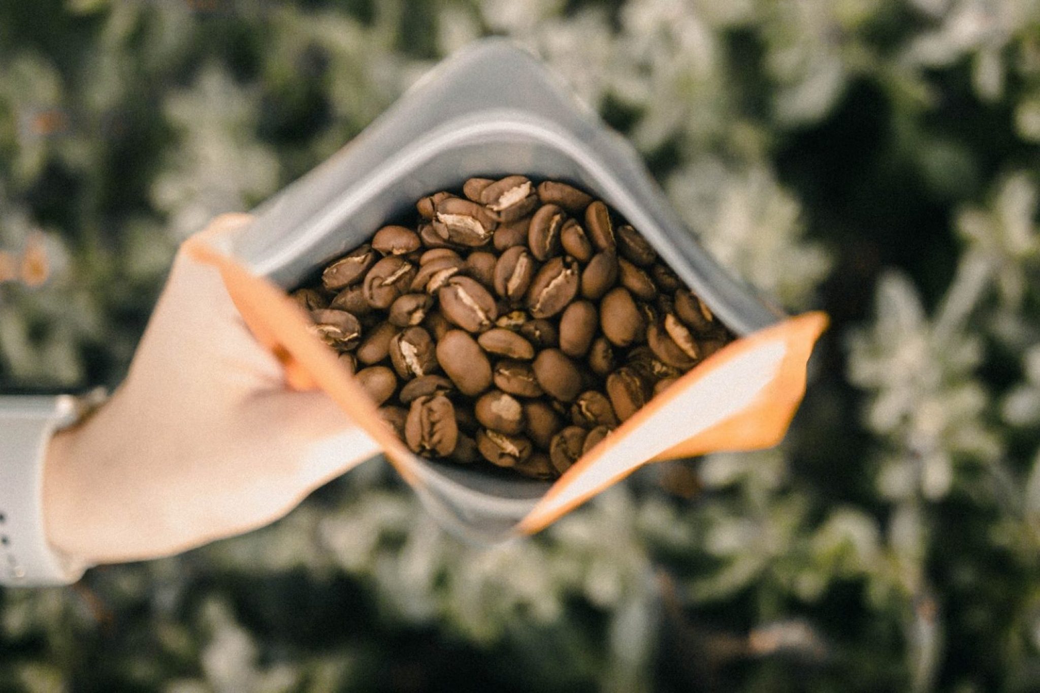 11 Best Coffees on Amazon Reviewed in Detail (Fall 2023)