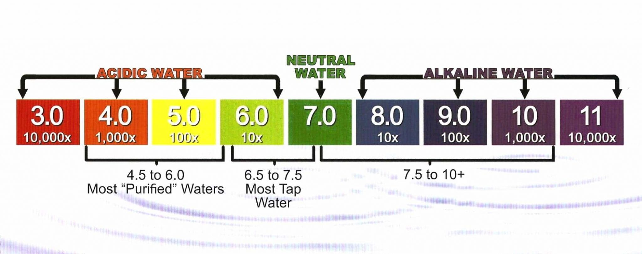 10 Best Bottled Water Brands for Espresso Machines (Winter 2024)