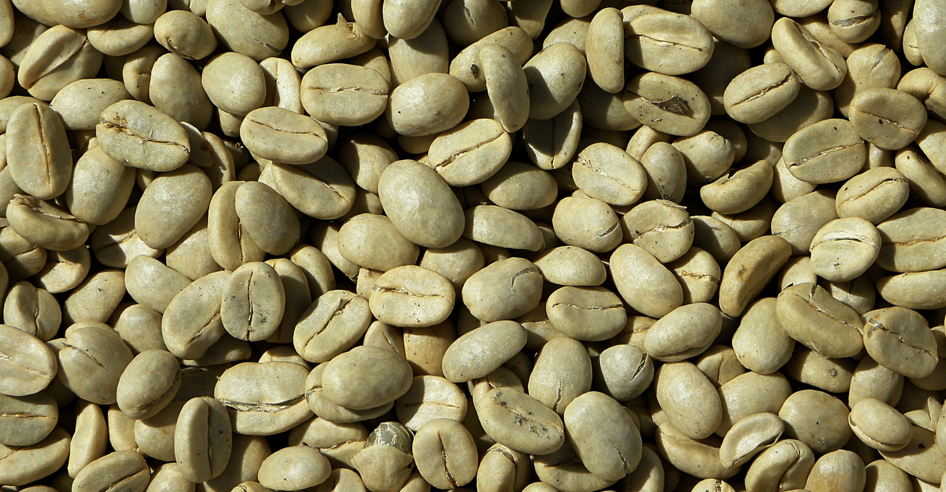 Type of Coffee - Different Beans Bring Different Flavors