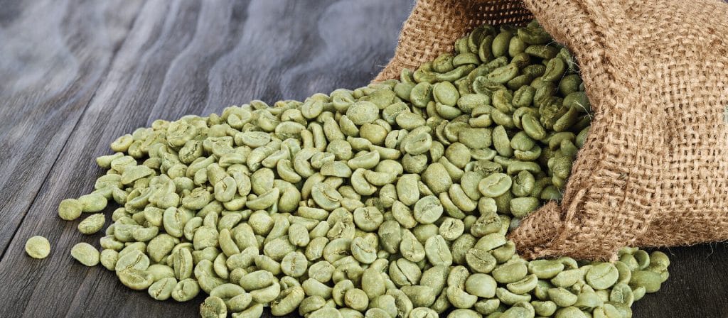 8 Best Green Coffee Bean Varieties – Customize Your Way of Drinking Coffee
