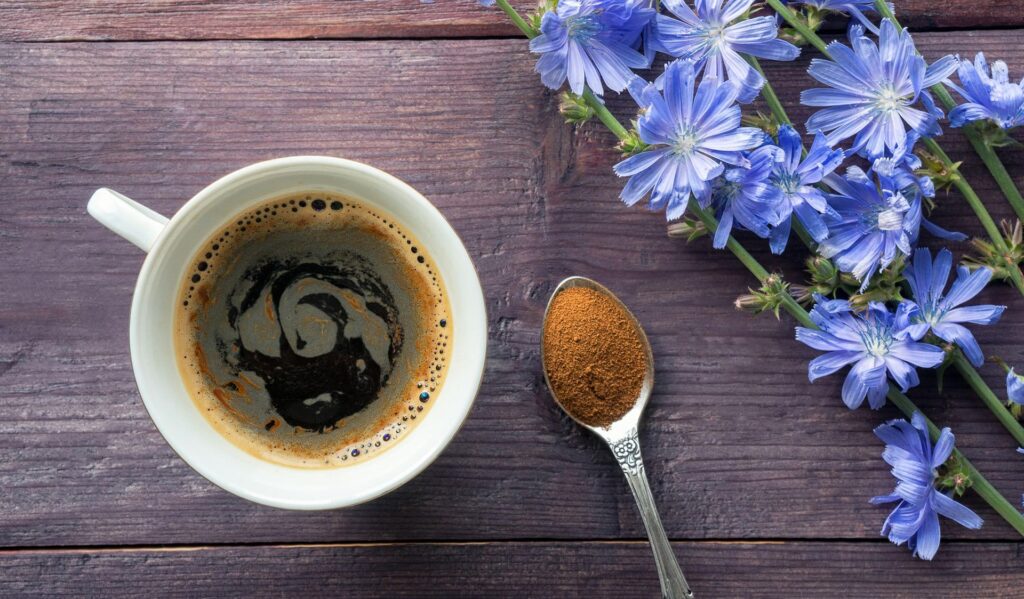 How to Make Chicory Coffee?