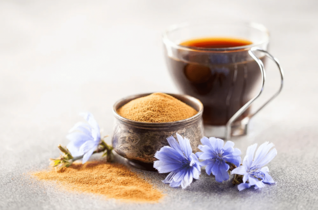 How to Make Chicory Coffee?