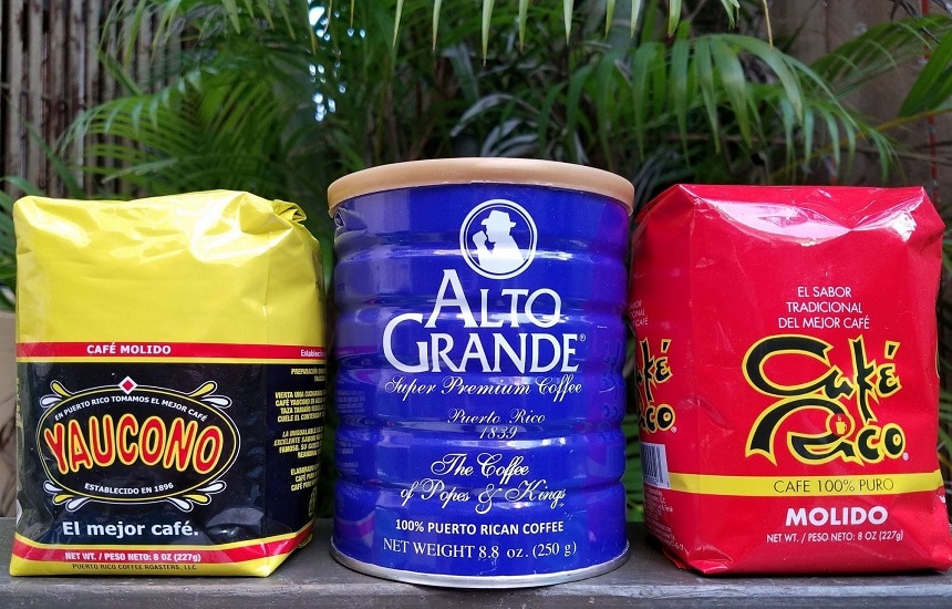 6 Best Puerto Rican Coffee Brands To Try And Fall In Love With!