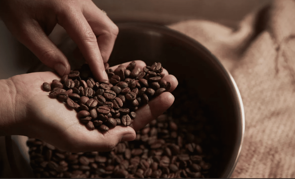 Eating Coffee Beans: Pros and Cons