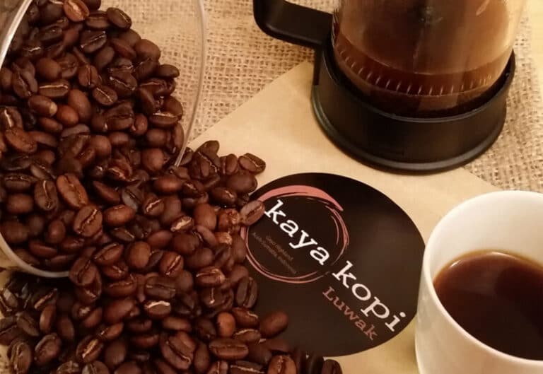 Kopi Luwak Coffee The Origin, Taste, Cost and Benefits