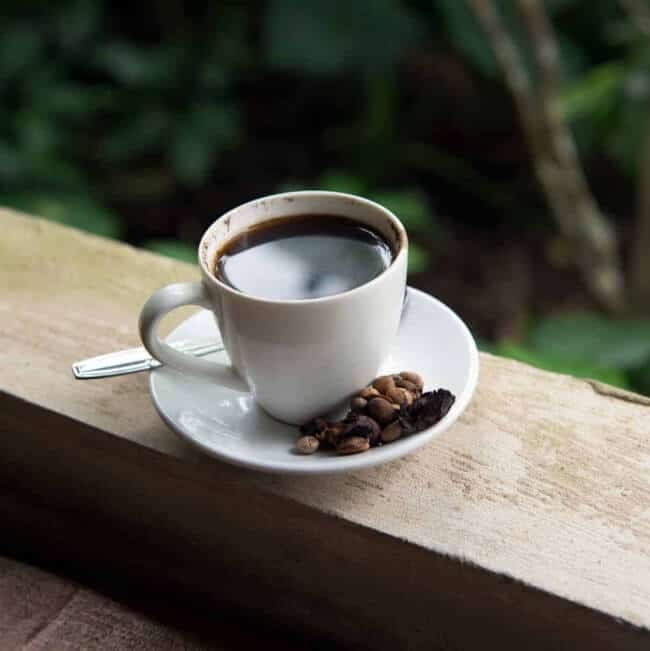 Kopi Luwak Coffee: What Makes It So Expensive?