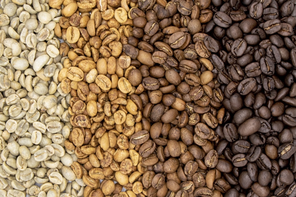 10 Best Mexican Coffee Brands – Ground and Full-bean Options with Amazing Flavor