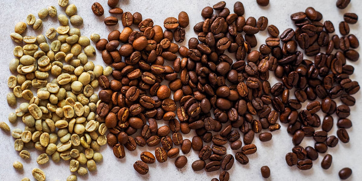 Coffee Bloom Explained: How Does It Affect the Taste?