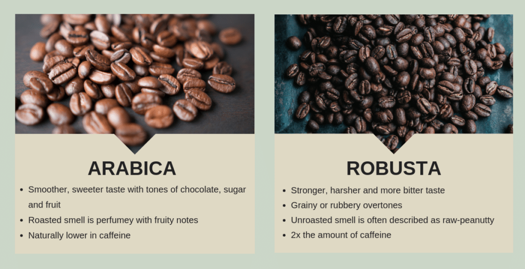 Why Is Coffee Bitter? 9 Reasons and Best Solutions